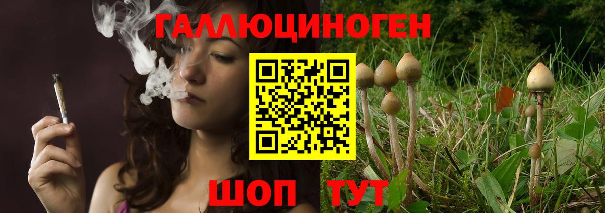 Псилоцибиновые грибы Psilocybe  Вход с VPN  Карталы 